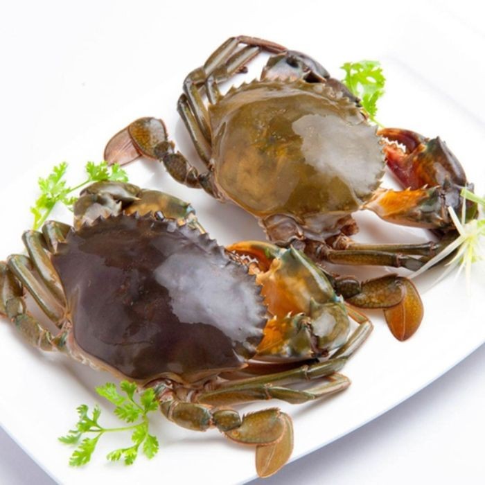 Wholesale Fresh Seafood Meaty Crab Grade 2 High Quality from Vietnam export
