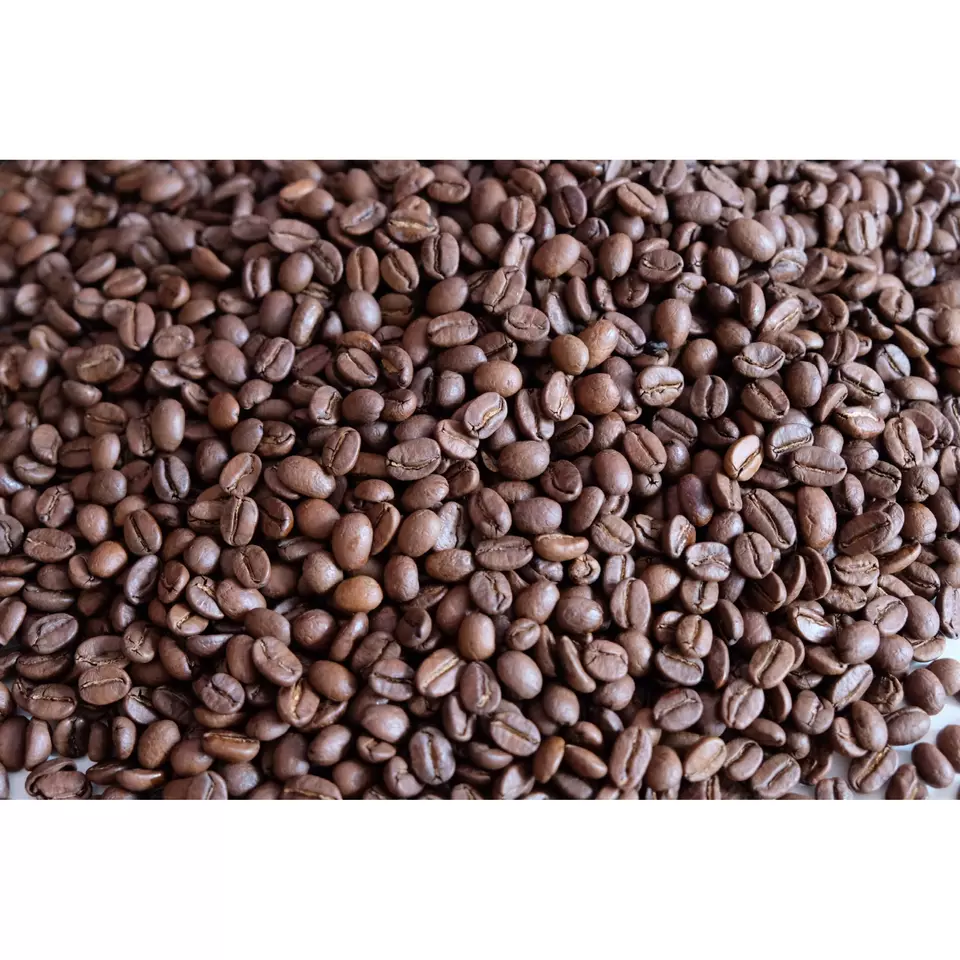 Best Selling Products Arabica Cau Dat S16 Roasted Carpentry Coffee Beans