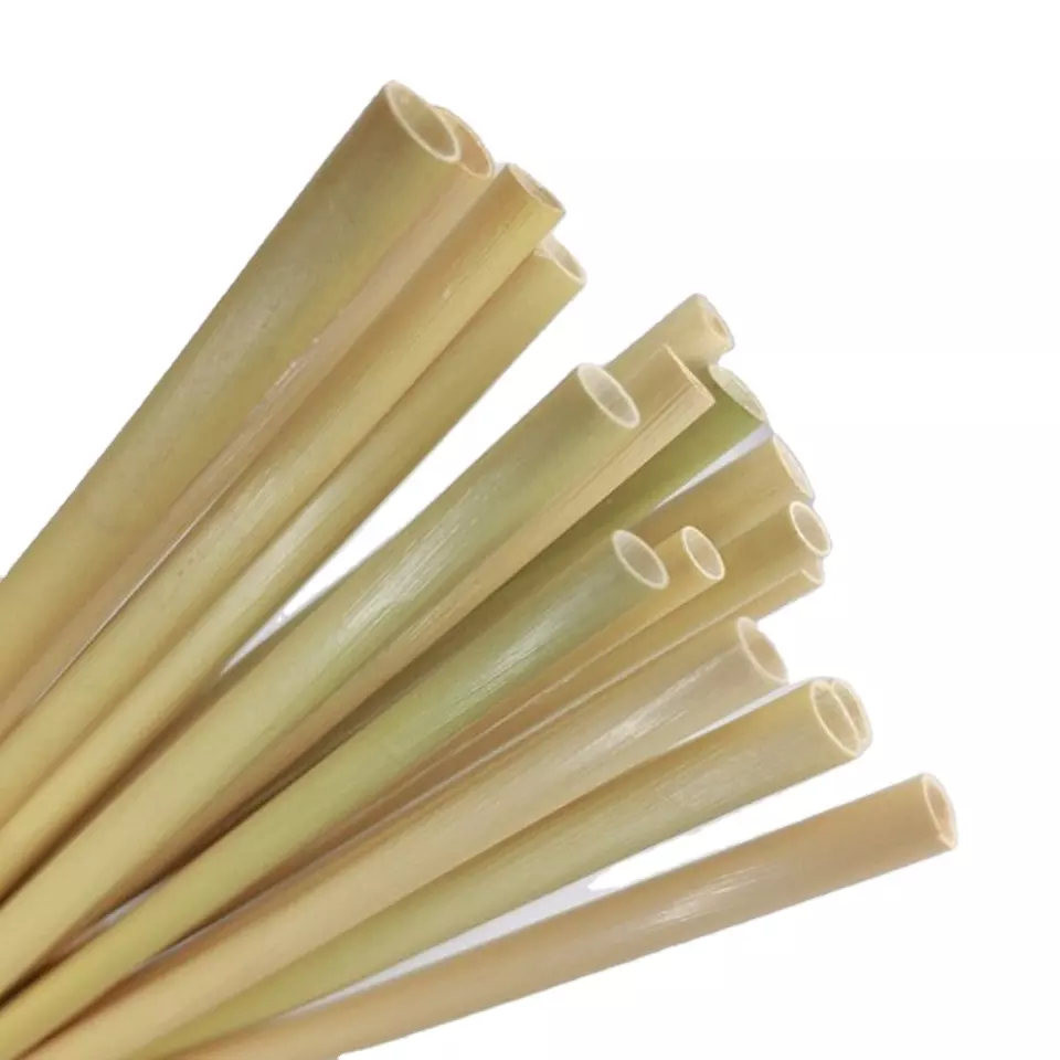 Natural Dried eagle grass straws 20cm Type 1 - Eco Friendly Straws Collection