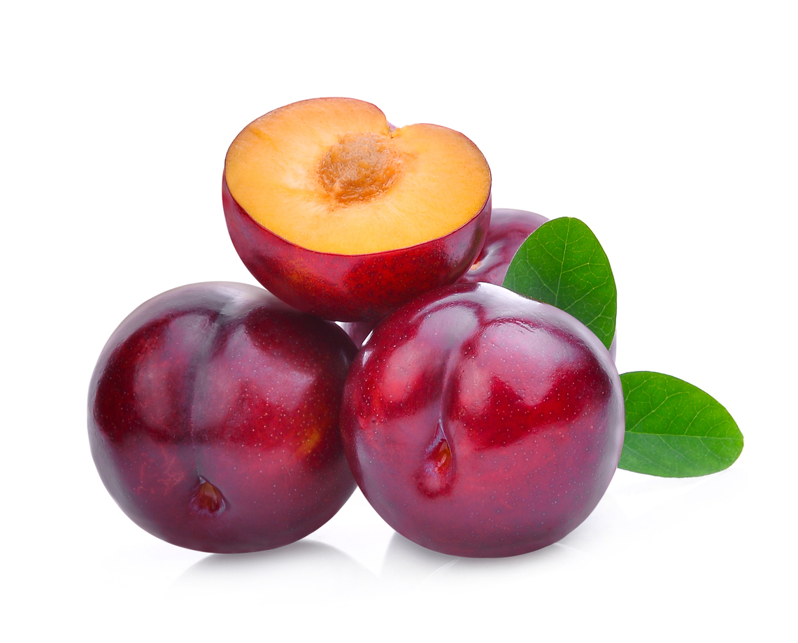 Plum Cheap price and quick response with high quality and carefully packaged for export