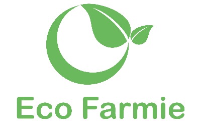 Eco Farmie Export Company Limited