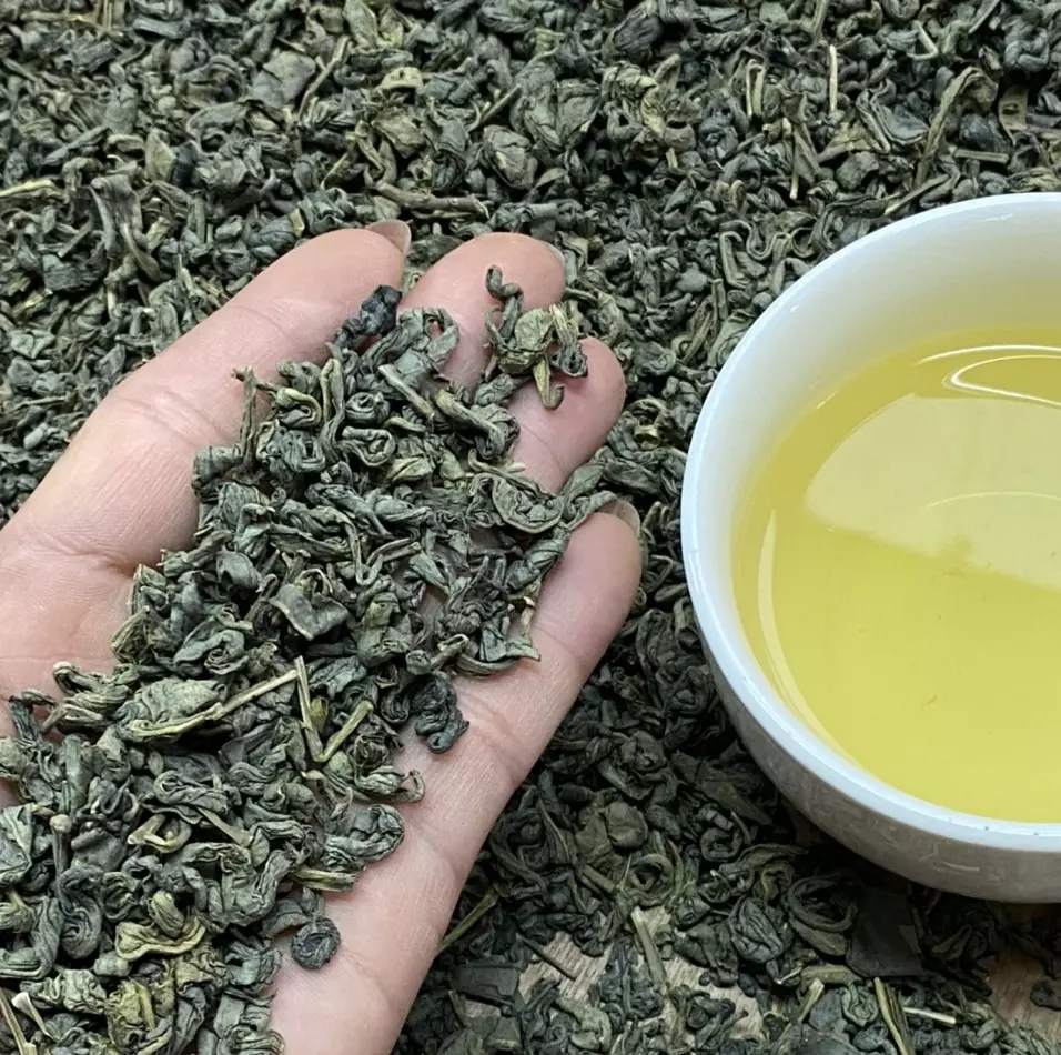 Green Tea PEKOE Best Quality Beautiful color made in Vietnam
