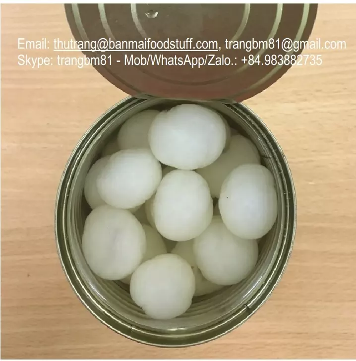 CANNED LONGAN FRUITS IN LIGHT SYRUP WITH CHOICE QUALITY GRADE OEM PACKING BRAND FROM BANMAIFOODSTUFF.COM