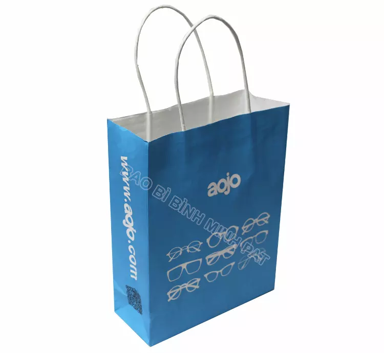 Shopping Paper Bag With Ribbon Handle