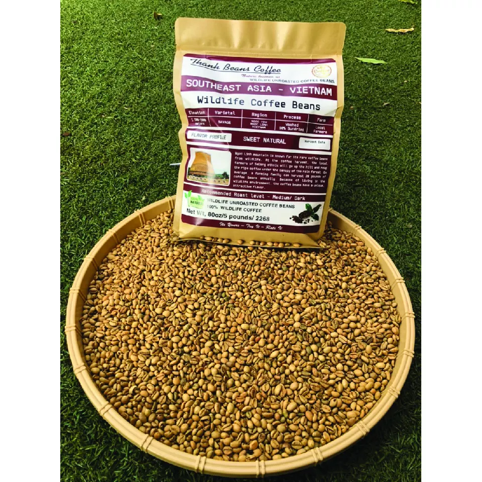Coffee Thanh - Specialty Coffee Export From Vietnam High Quality Tasty Whole Bean Coffee