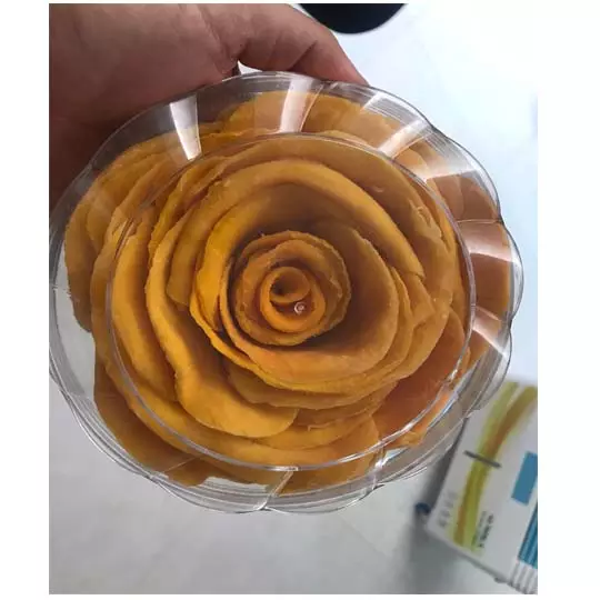 Best TASTE of mango dried from Vietnam for wholesales new crop