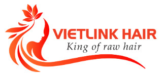 Vietlink Hair Company Limited
