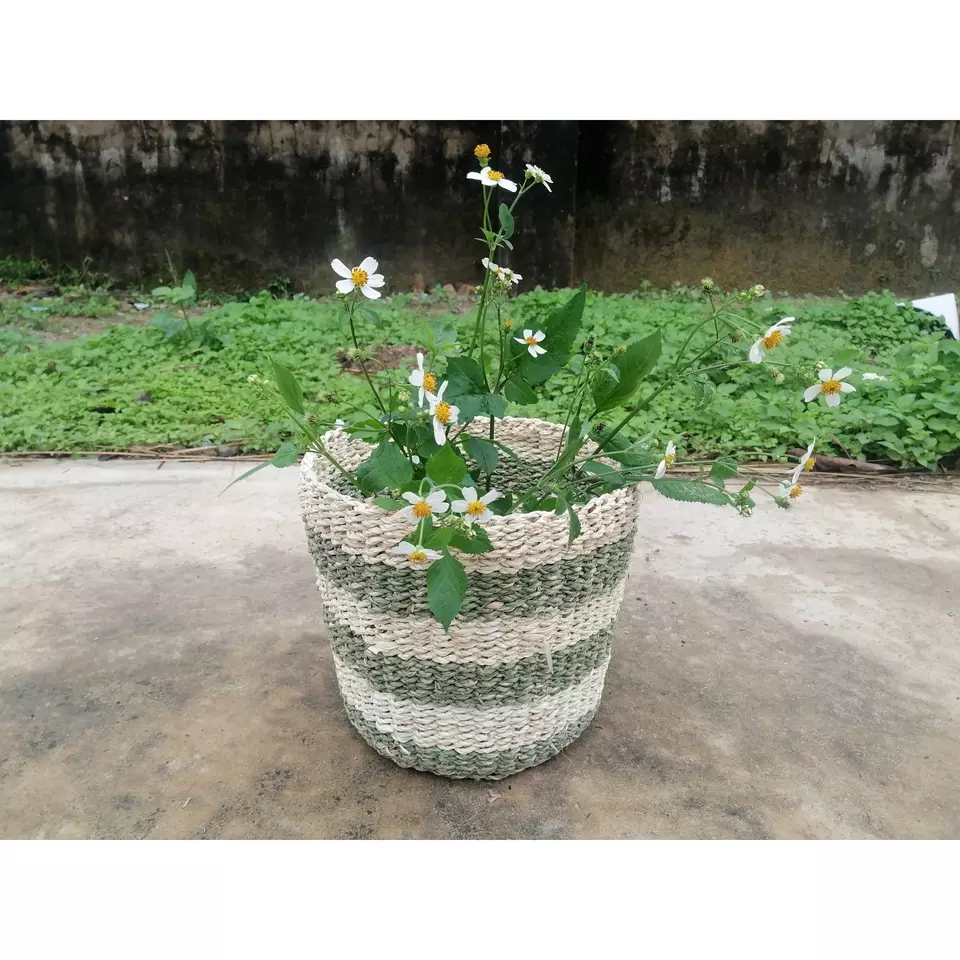 Plant Fiber Material Green White Round Sedge Basket With Handle Neatening Storage Functional design sedge basket