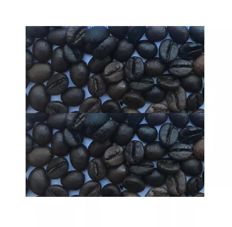 Cheap Price Roasted Robusta Coffee Beans Good Standard