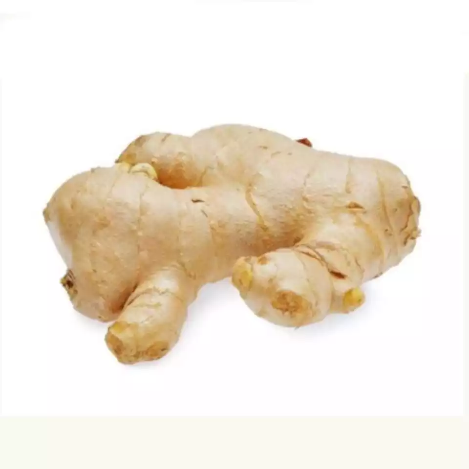 Wholesale Ginger Export New Crop Fresh Ginger Best Price Vietnamese Ginger With Good Quality