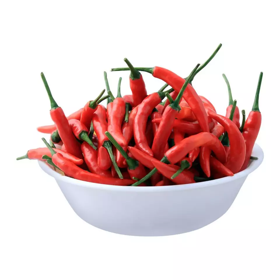 Top Suppliers Vietnam Agri Fresh Chilli Hot Spicy Red Fresh Chilli Pepper High Quality Wholesale