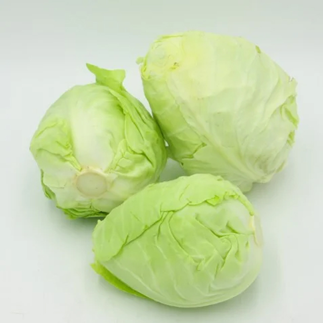Fresh cabbage, Vietnam cabbage, Green cabbage Wholesale with high quality
