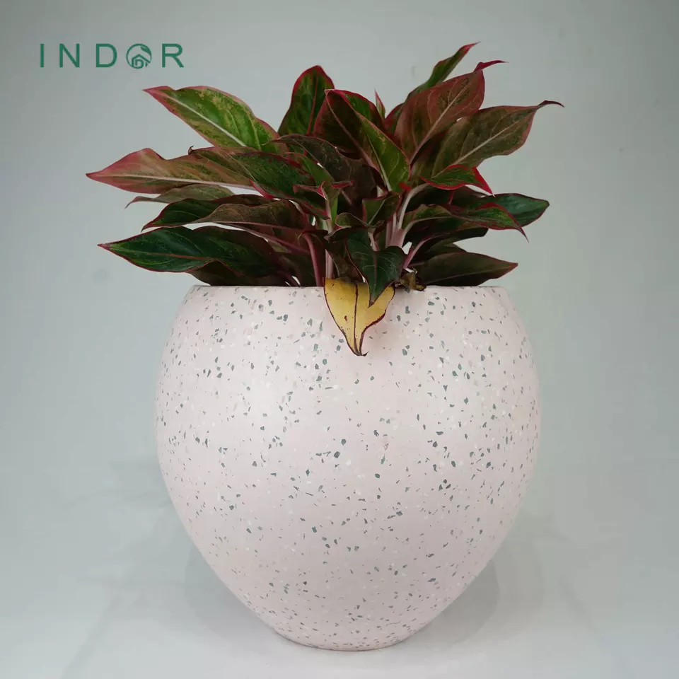 Quality OEM Service Europe Decoration Collection TR04BLS4 Pink Terrazzo Flower Green Pot And Planter With Black Red Aggregates