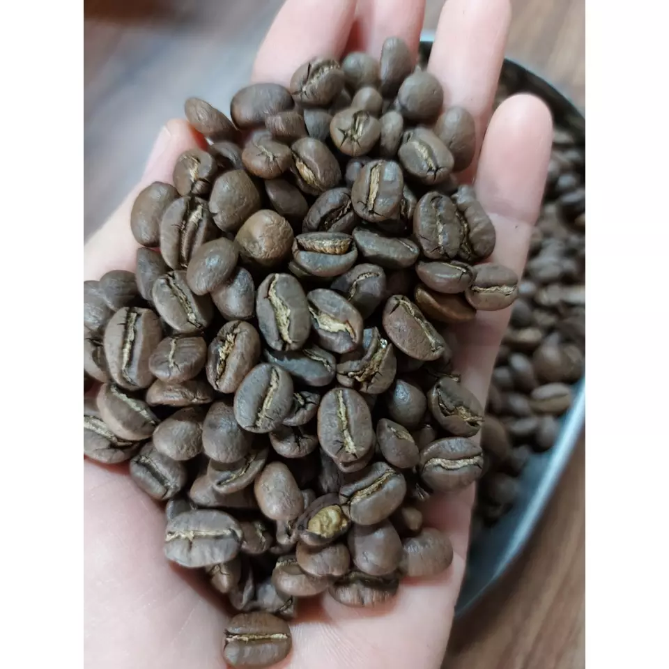 High Quality Arabica Cau Dat S16 Roasted Carpentry Coffee Beans High Quality Order Roasted