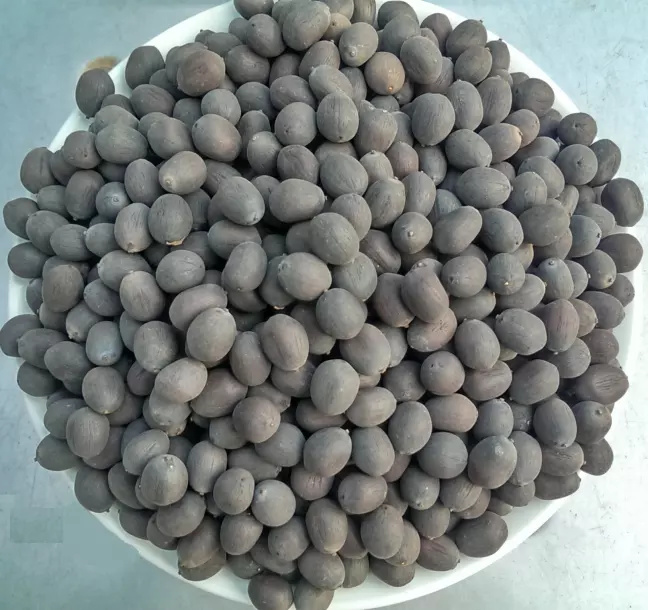 Dried Lotus seeds, unwrapped Lotus Seed, Whole Seed and Nut from Vietnam MOQ 100kg