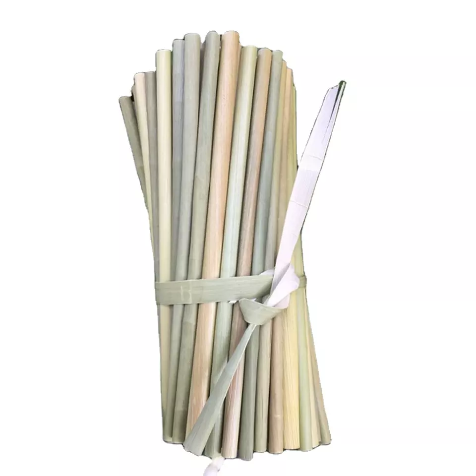 Dried eagle grass straws 20cm type 2 to export/ disposable straws/ grass straws